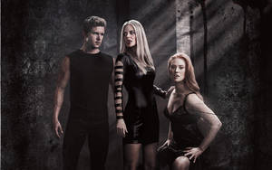 True Blood Jason Pam Jessica Wallpaper