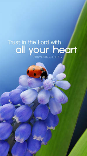 Trust Jesus Quotes Wallpaper