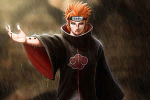 Trusting Pain, Believing In Danzo Wallpaper