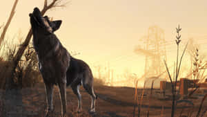 Trusty Companion Dogmeat In Fallout 4 Wallpaper