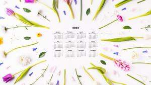 Tulips 2022 Calendar Wallpaper