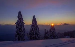 Tundra Landscape Clean 4k Wallpaper