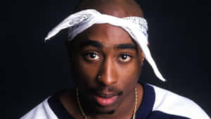 Tupac - Tupac Shakur - Tupac Shakur - Tupac S Wallpaper