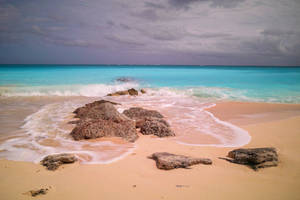 Turks And Caicos Brown Beach Wallpaper