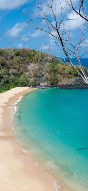 Turks And Caicos Coastal Area Wallpaper