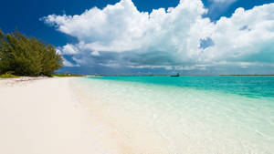 Turks And Caicos Island Life Wallpaper