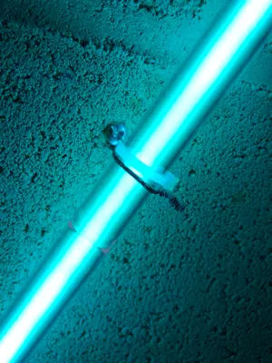 Turquoise Green Abstract Texture Wallpaper Wallpaper