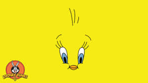 Tweety Bird 2845 X 1600 Wallpaper