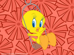 Tweety Bird Swinging Happily Wallpaper