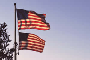 Twilight American Flags Wallpaper