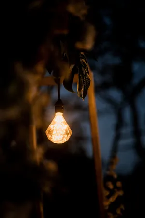 Twilight Glowing Lightbulb Wallpaper