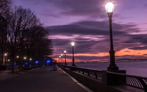 Twilight Lamp Post Alley Wallpaper