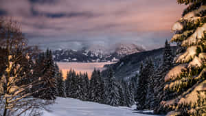 Twilight_ Mountain_ Winter_ Scene_4 K Wallpaper