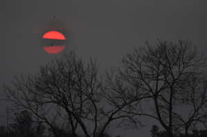 Twilight Red Sun Through Haze Wallpaper