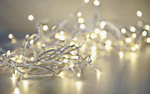 Twinkling Christmas Lights Desktop Wallpaper