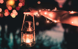 Twinkling Lightsand Lantern Wallpaper