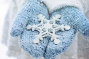 Two Adorable Kittens Cuddling In Mittens Wallpaper