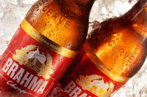 Two Chilled Brazilian Brahma Chopp Bottles Wallpaper