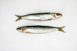 Two Fish Sardines On White Surface Wallpaper