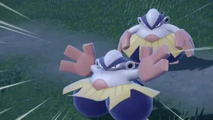 Two Hariyama Wallpaper