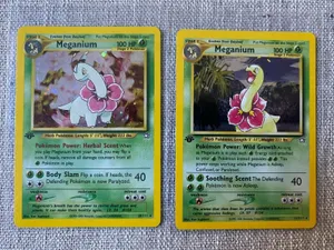 Two Meganium Pokemon Trading Cards Wallpaper