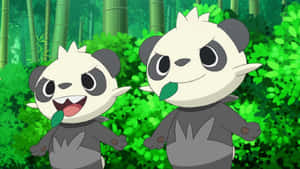 Two Pancham Wallpaper