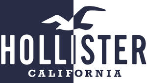 Two Toned Hollister Logo Wallpaper