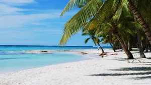 Typical Dominican Republic Beach Wallpaper