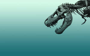 Tyrannosaurus Rex Skeleton Desktop Wallpaper Wallpaper