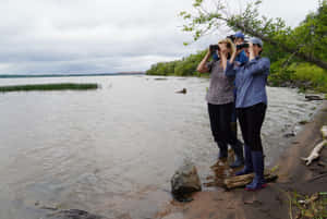 U.s. Senator Tammy Baldwin Enjoying Bird Watching Wallpaper