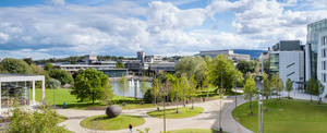 Ucd Campus Grounds Wallpaper