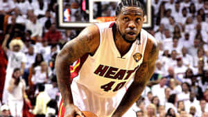 Udonis Haslem Of The Miami Heat Wallpaper