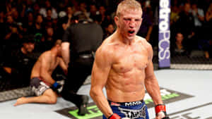 Ufc 177: Tj Dillashaw Vs. Soto Wallpaper