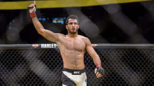 Ufc 99 Gegard Mousasi On Octagon Ring Wallpaper