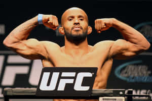 Ufc American Mixed Martial Arts Demetrious Johnson Wallpaper