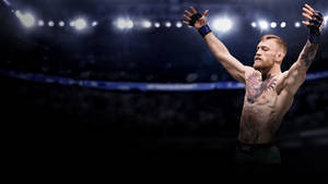 Ufc Conor Mcgregor Spotlight Winning 4k Wallpaper