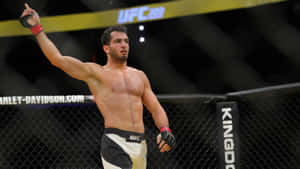 Ufc Dutch Fighter Gegard Mousasi Wallpaper