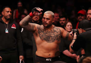 Ufc Fighter Mark Hunt Wallpaper