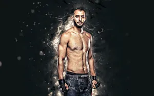 Ufc Light Heavyweight Contender Dominick Wallpaper