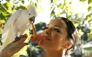 Ukrainian Girl With A White Cockatoo Wallpaper