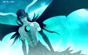 Ulquiorra Cifer - A Mysterious Character From Bleach. Wallpaper