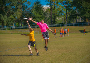 Ultimate Frisbee Contest Wallpaper