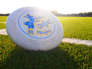 Ultimate Frisbee Ul Ninjas Wallpaper