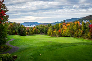 Ultra Hd Golf Course Red Trees Wallpaper