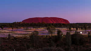 Uluru Colorful Plants Wallpaper