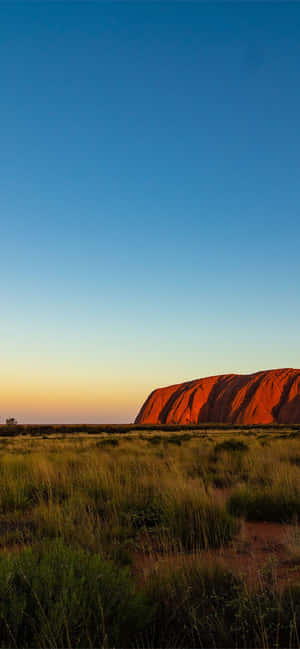 Uluru Yellow Blue Sky Wallpaper