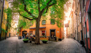 Under Kastanjen Gamla Stan Wallpaper