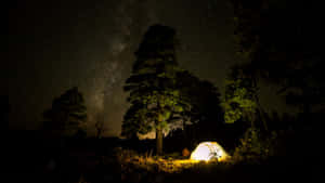 Under The Tree Camping Desktop Wallpaper