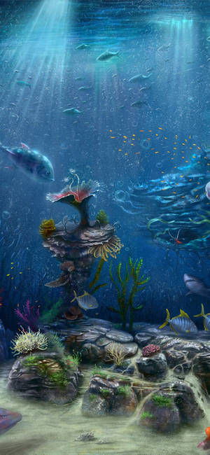 Underwater Beauty: Vibrant Coral Reef With Tropical Fish Wallpaper