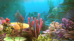 Underwater Coral Reef Wallpaper